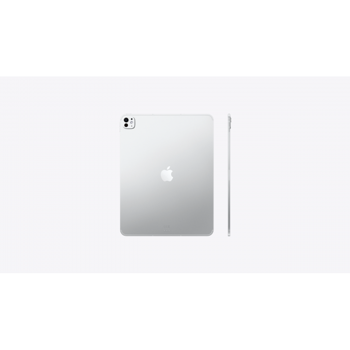 iPad Pro