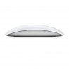 Magic Mouse